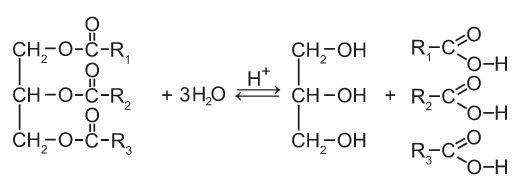Трипальмитат глицерина гидролиз. Трипальмитат глицерина. Трипальмитат глицерина и бромная вода. Гидролиз трипальмитата глицерина. Водный гидролиз трипальмитата.
